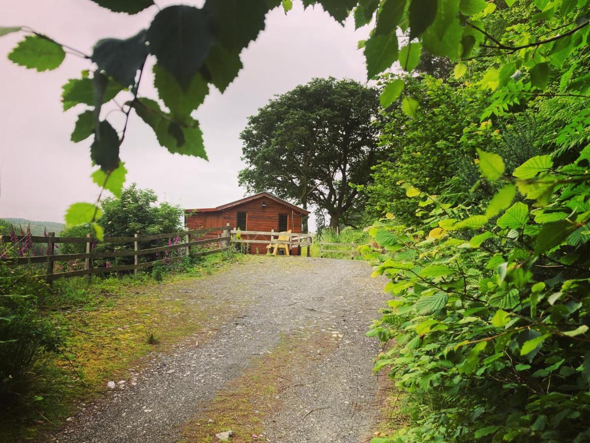 Cabin Pren , Darowen , Machynlleth Apartment Exterior foto